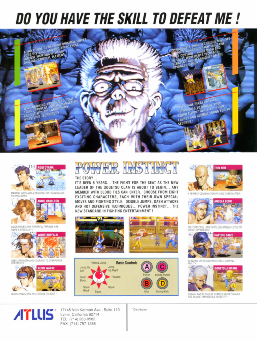 Power Instinct (USA, bootleg set 1) [Bootleg] Arcade Game Cover